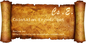 Csintalan Erzsébet névjegykártya